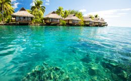 Over water bungalows with steps into green lagoon